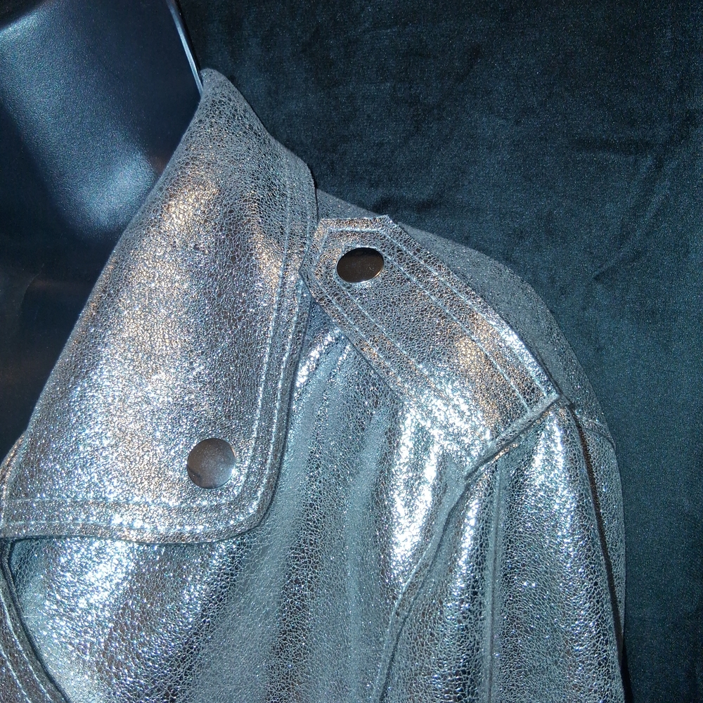 Cato Metallic Silver  Jacket - Picture 5 of 5